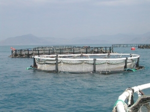 Aquapod Net Pen, A New Breed of Culture Container in Mariculture