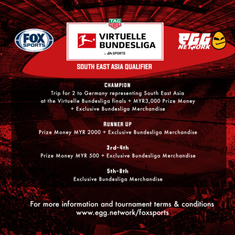 Virtuelle Bundesliga Prizes