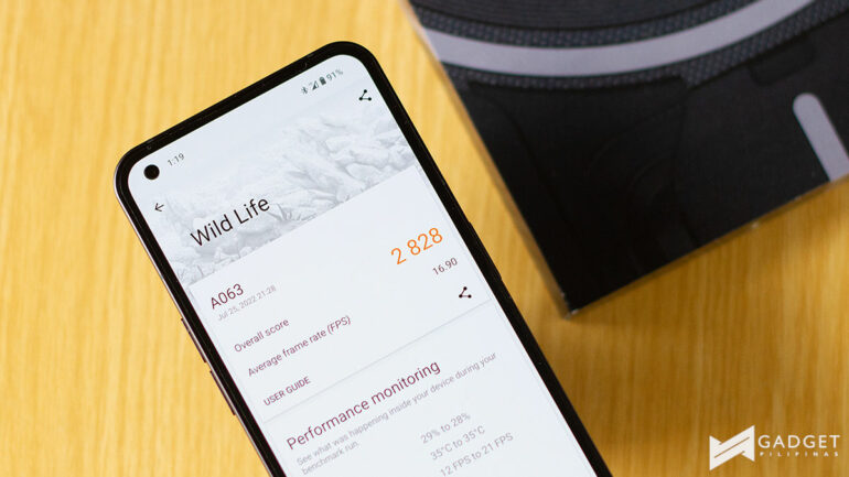 Nothing phone (1) review - Wild Life
