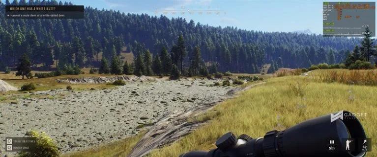 Way of the Hunter Review: I enjoyed playing this vast open-world hunting game