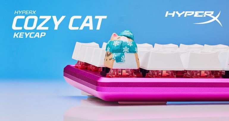 HyperX cozy-cat