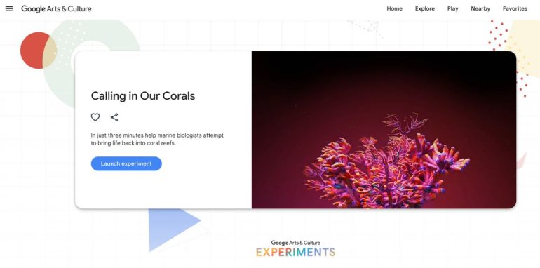 Google Arts and Culture - Coral Reefs