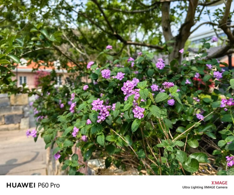 Huawei P60 Pro 3