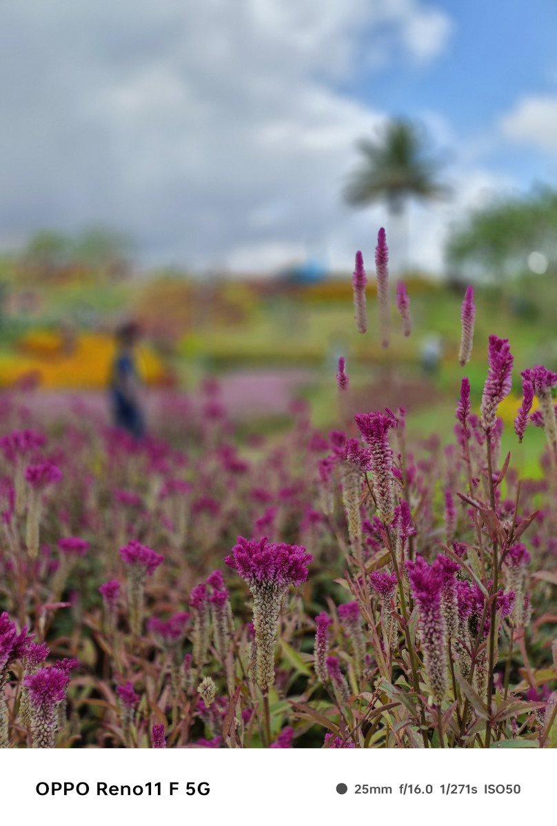 OPPO Reno11 F 5G Review portrait shot 1