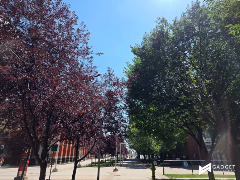 Galaxy Z Fold 7 Review Sample Photo 16