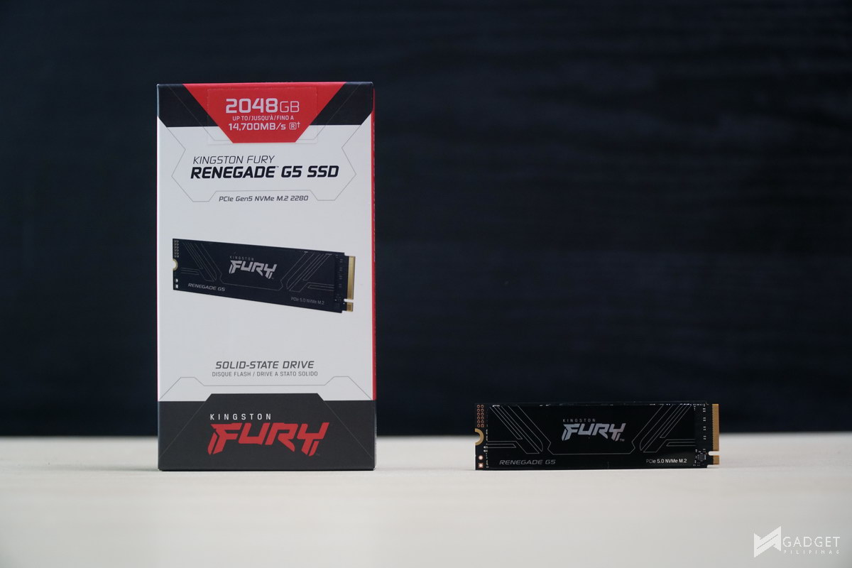 Kingston Fury Renegade G5 2TB SSD Review Philippines