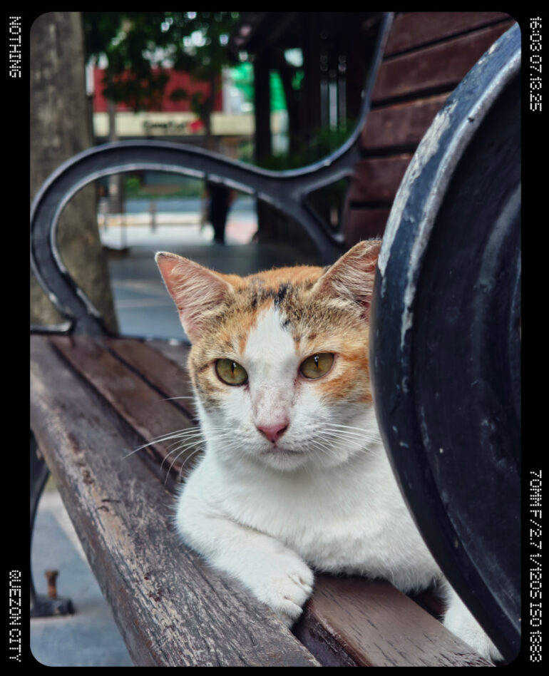 Nothing Phone (3) full review 2 camera sample 3x 3