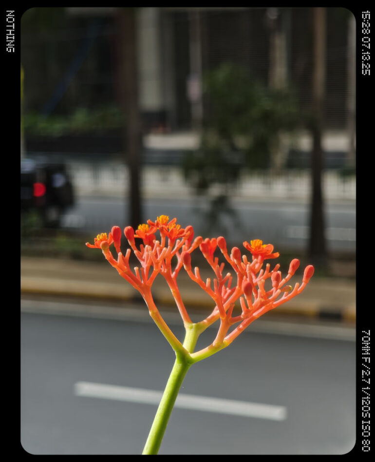 Nothing Phone (3) full review 2 camera sample macro mode