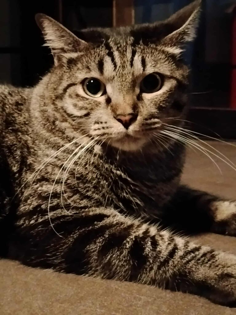 POCO M7 Sample Photo (1)