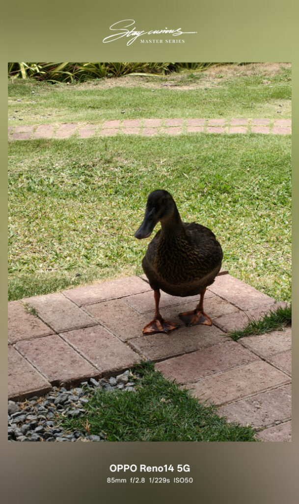 OPPO Reno14 5G Review camera sample 4x