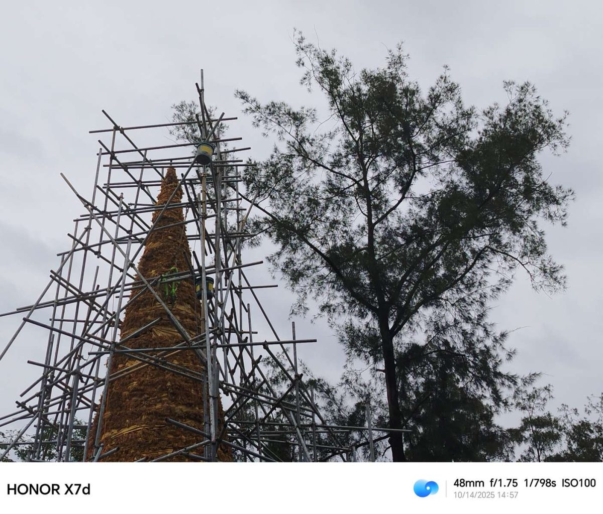 HONOR X7d Sample Photo 9