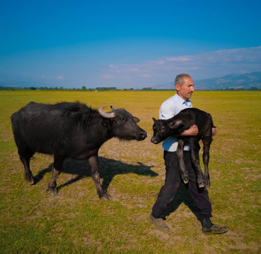 New Life by Mehmet Emin Corus Turkiye with HUAWEI Mate 10 Pro