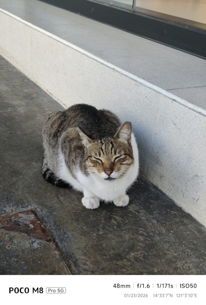 POCO M8 Pro 5G Review rear camera sample 1