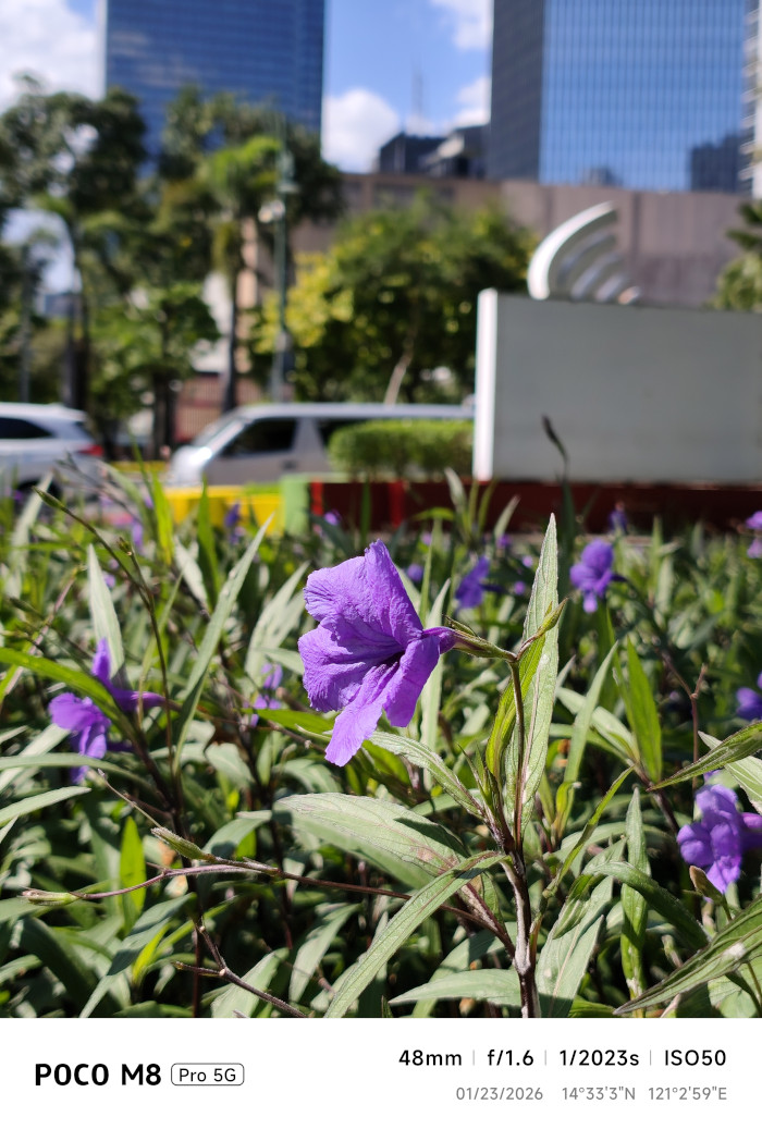 POCO M8 Pro 5G Review rear camera sample 4