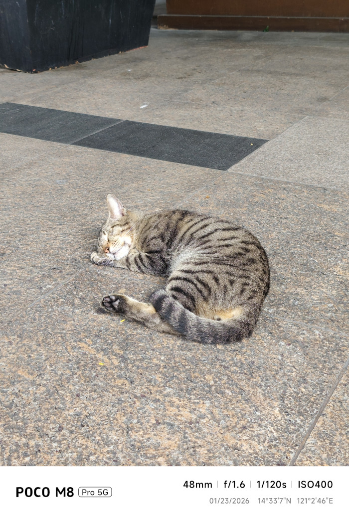 POCO M8 Pro 5G Review rear camera sample 7