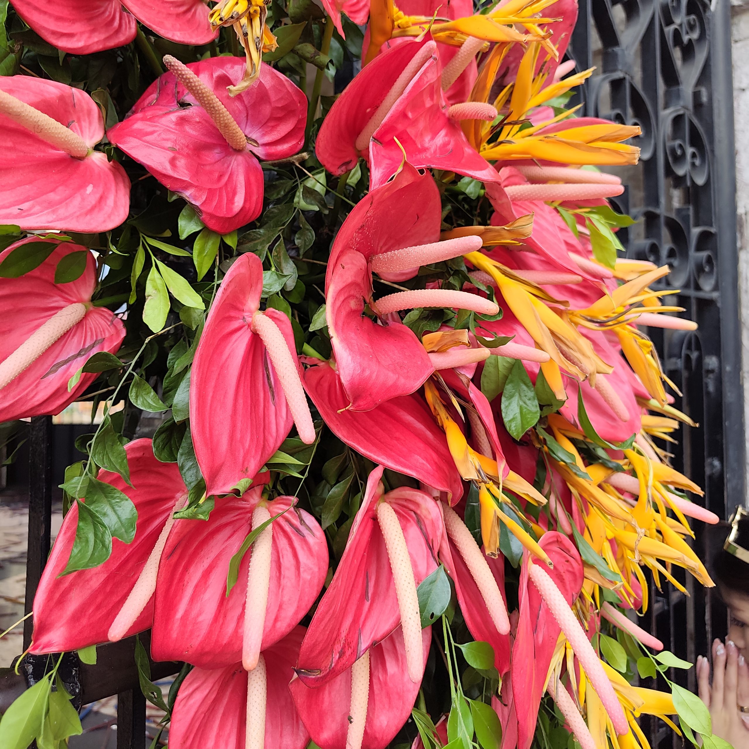 Redmi Note 15 Pro+ 5G Review Set Cebu (2)