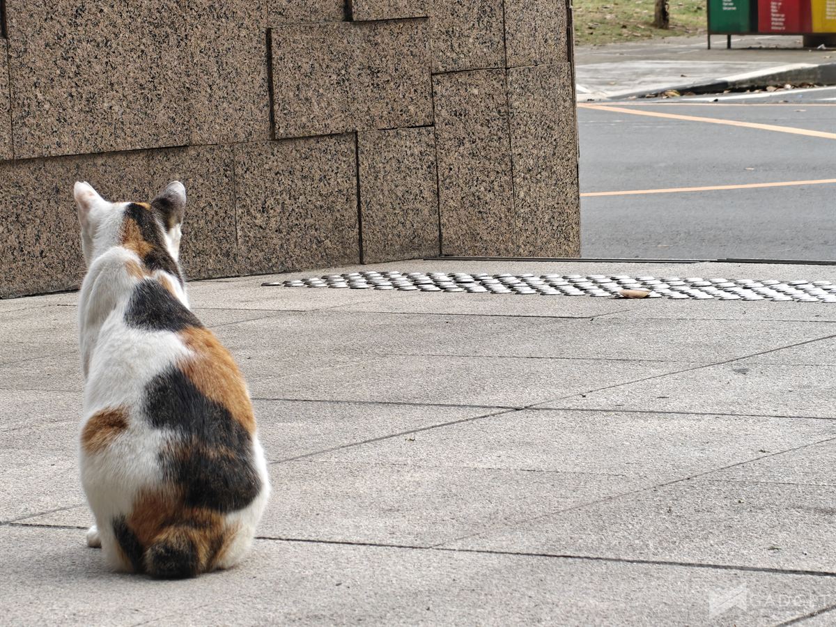 OPPO Reno15 5G Review Camera (45)