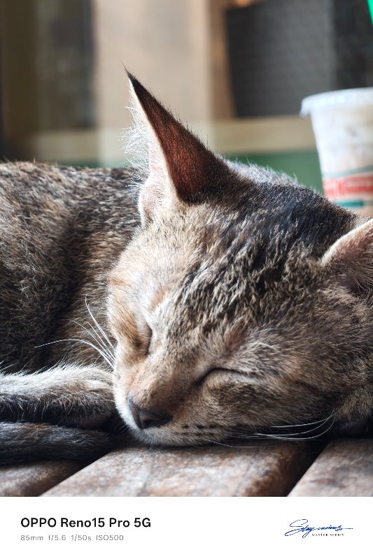 OPPO Reno15 Pro 5G Sample Photo 7