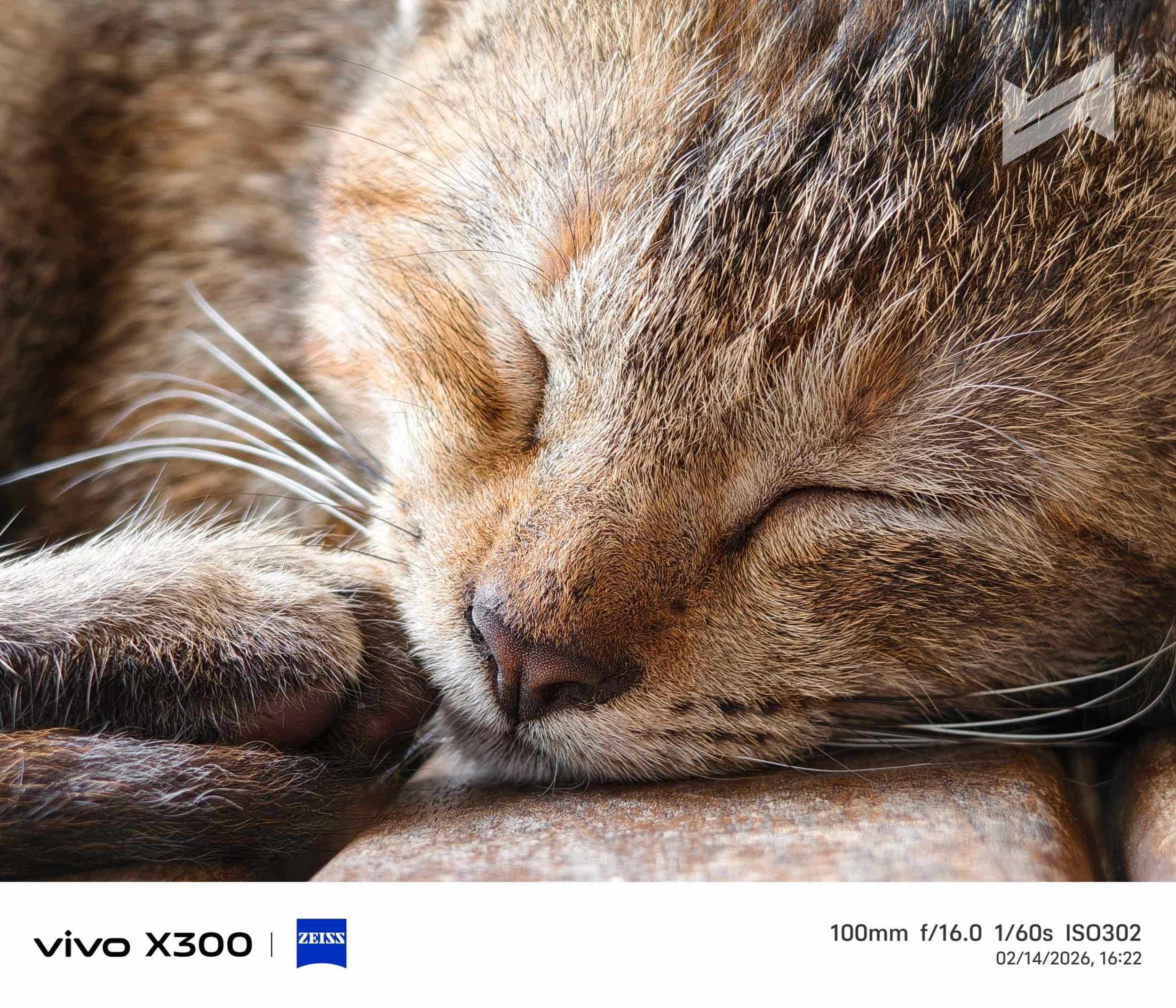 vivo X300 Review Sample Photo 10