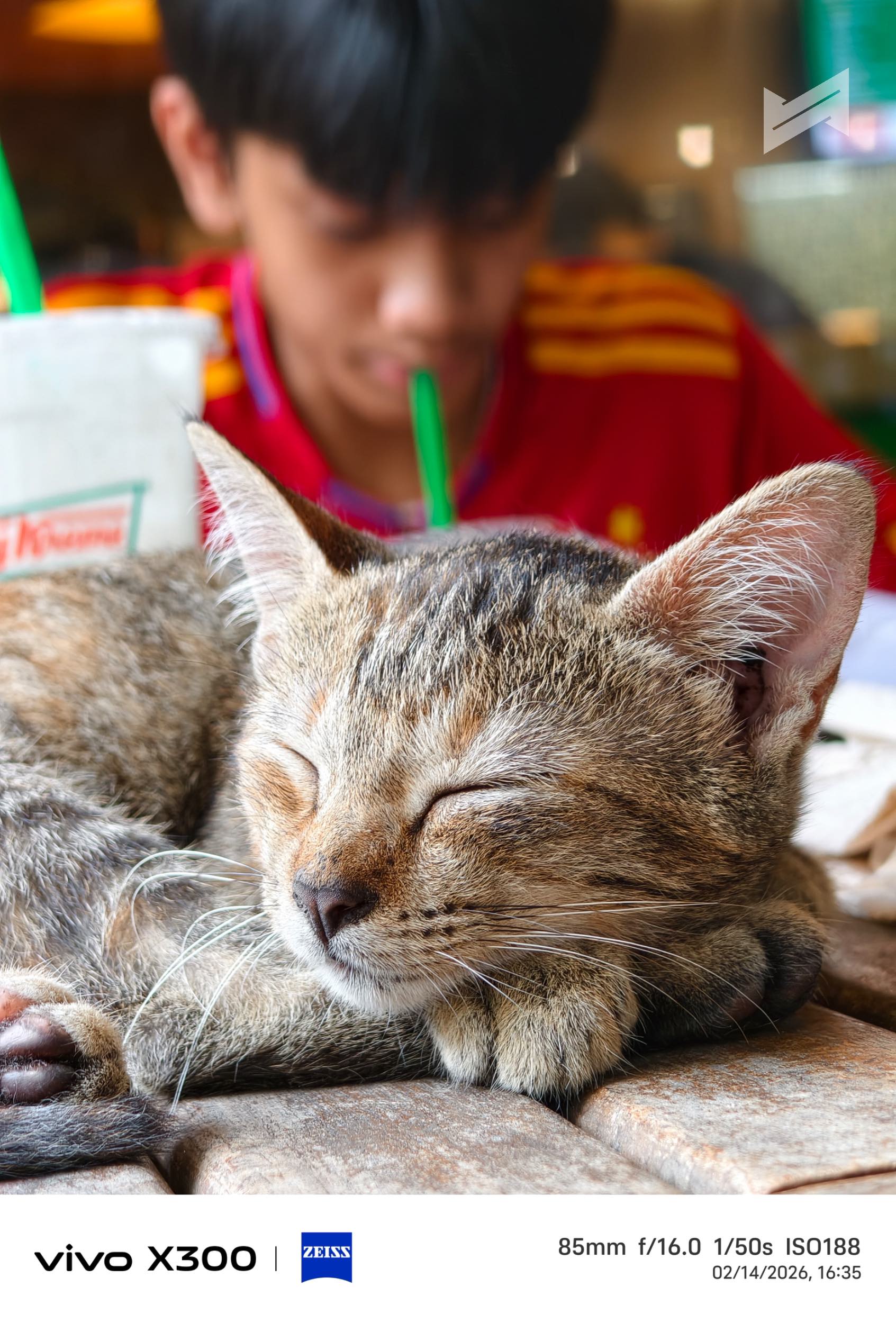 vivo X300 Review Sample Photo 5