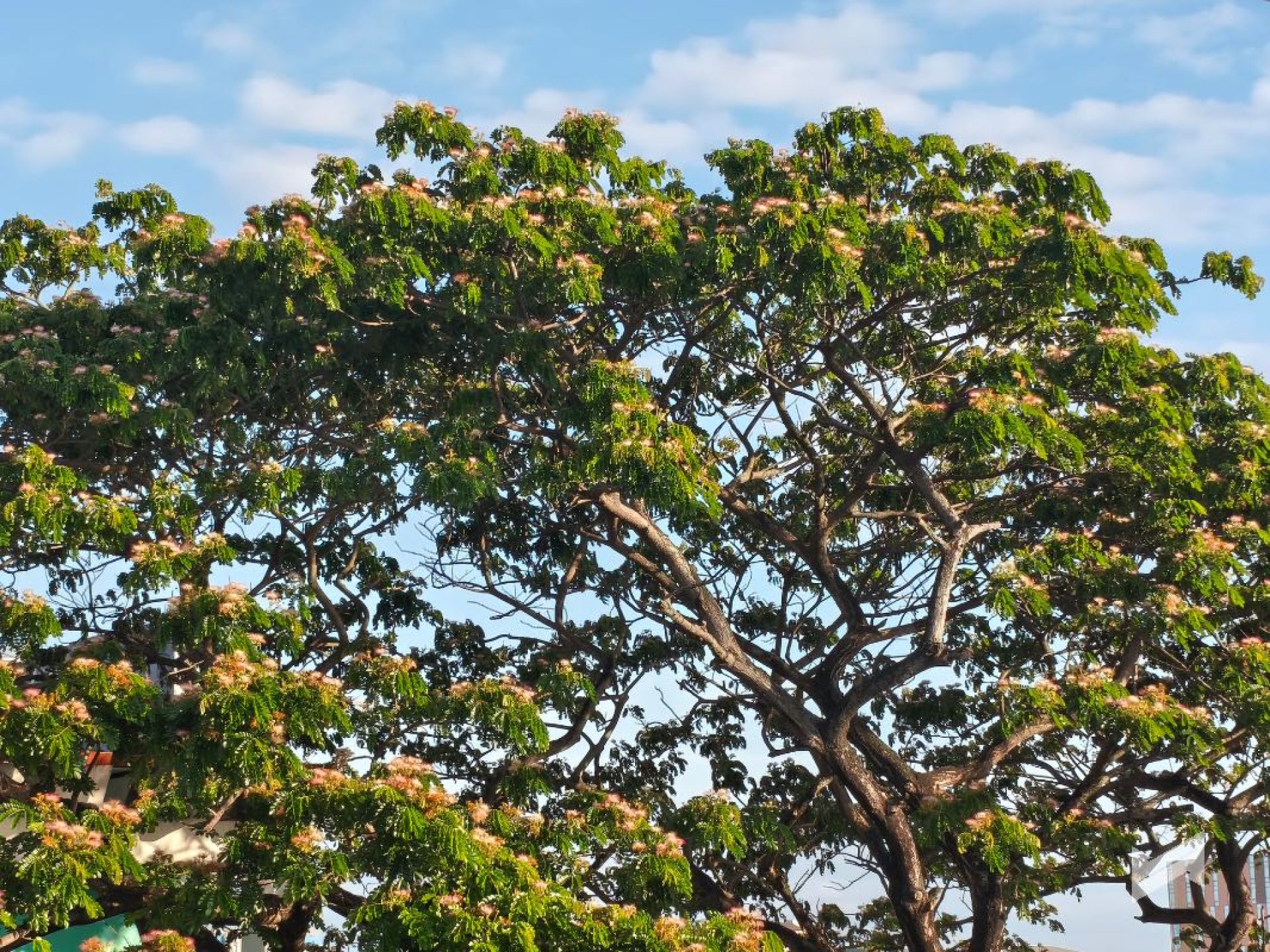 POCO X8 Pro Max Review Sample Photo 20