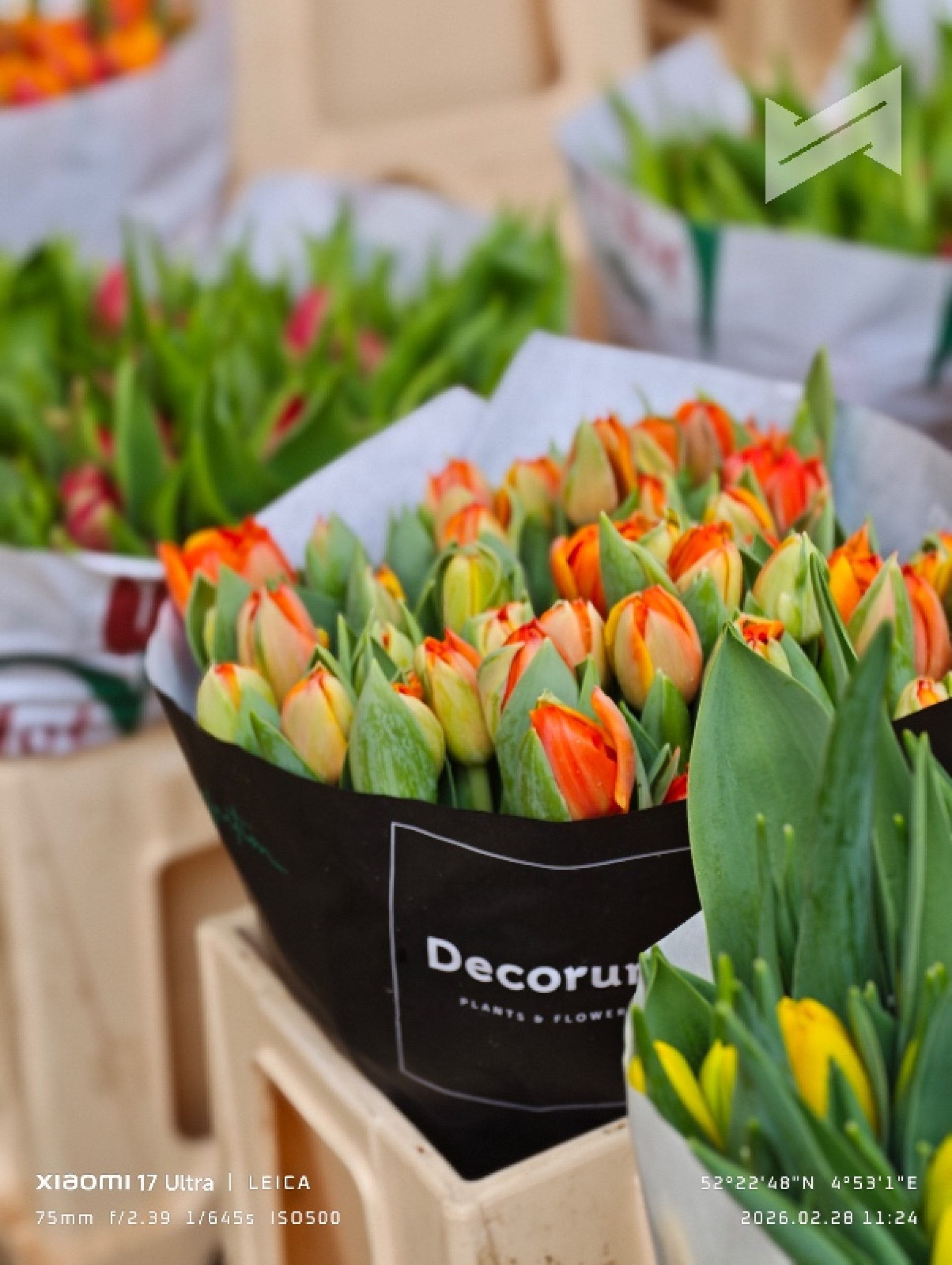 Xiaomi 17 Ultra Philippines Sample Photo 10