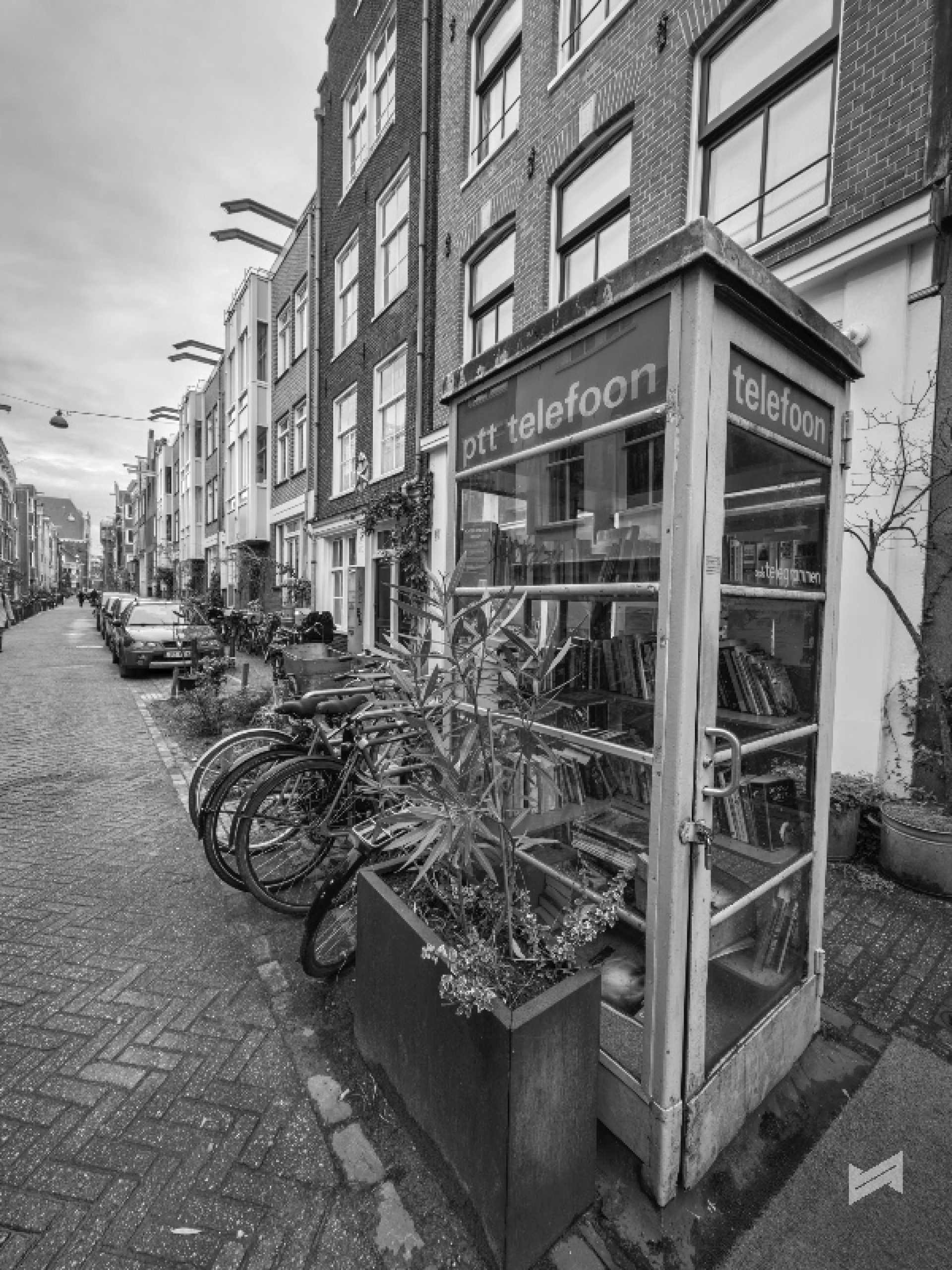 Xiaomi 17 Ultra Review Sample Photo 10