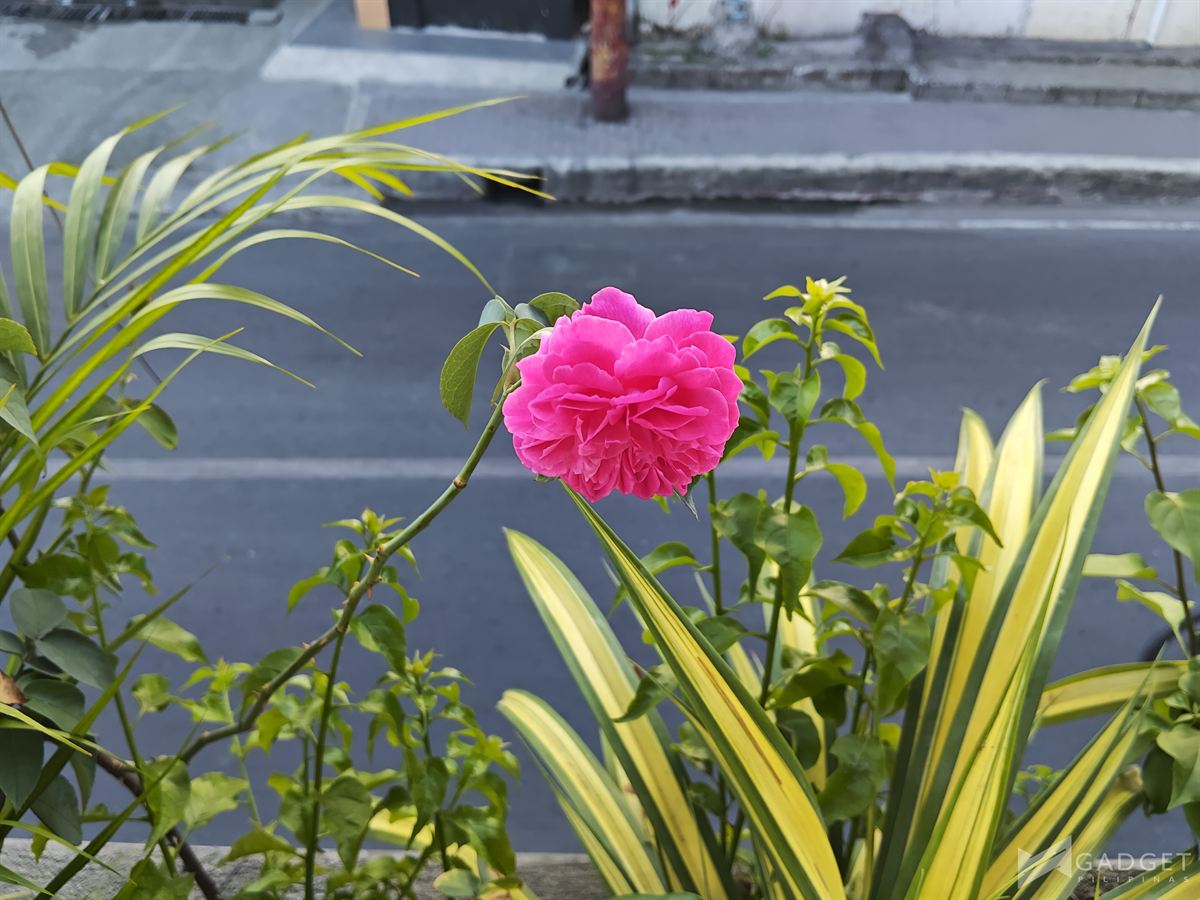 Xiaomi Pad 8 Pro Review Photos (1)