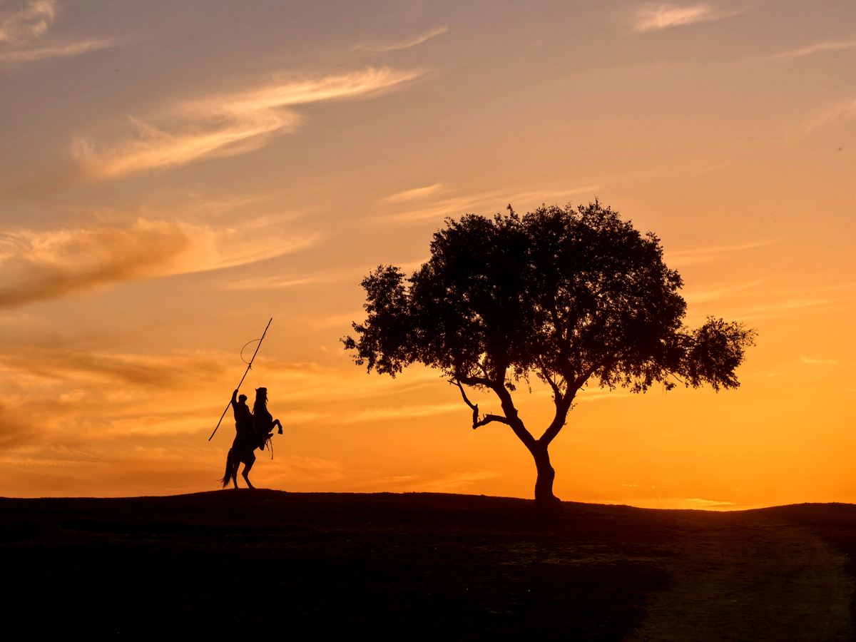 HUAWEI Mate 80 Pro True to Color Camera