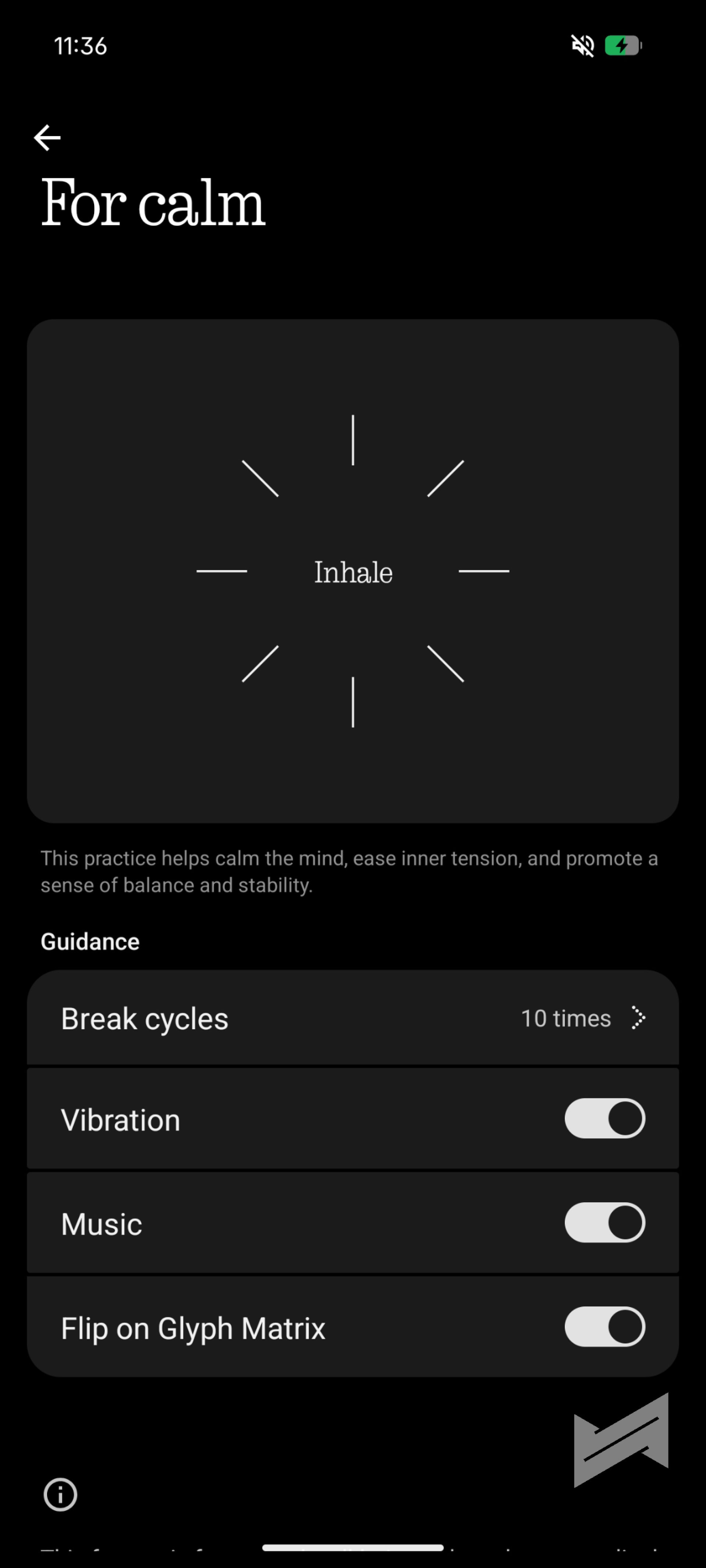 Nothing Phone 4a Pro Review Sample 46