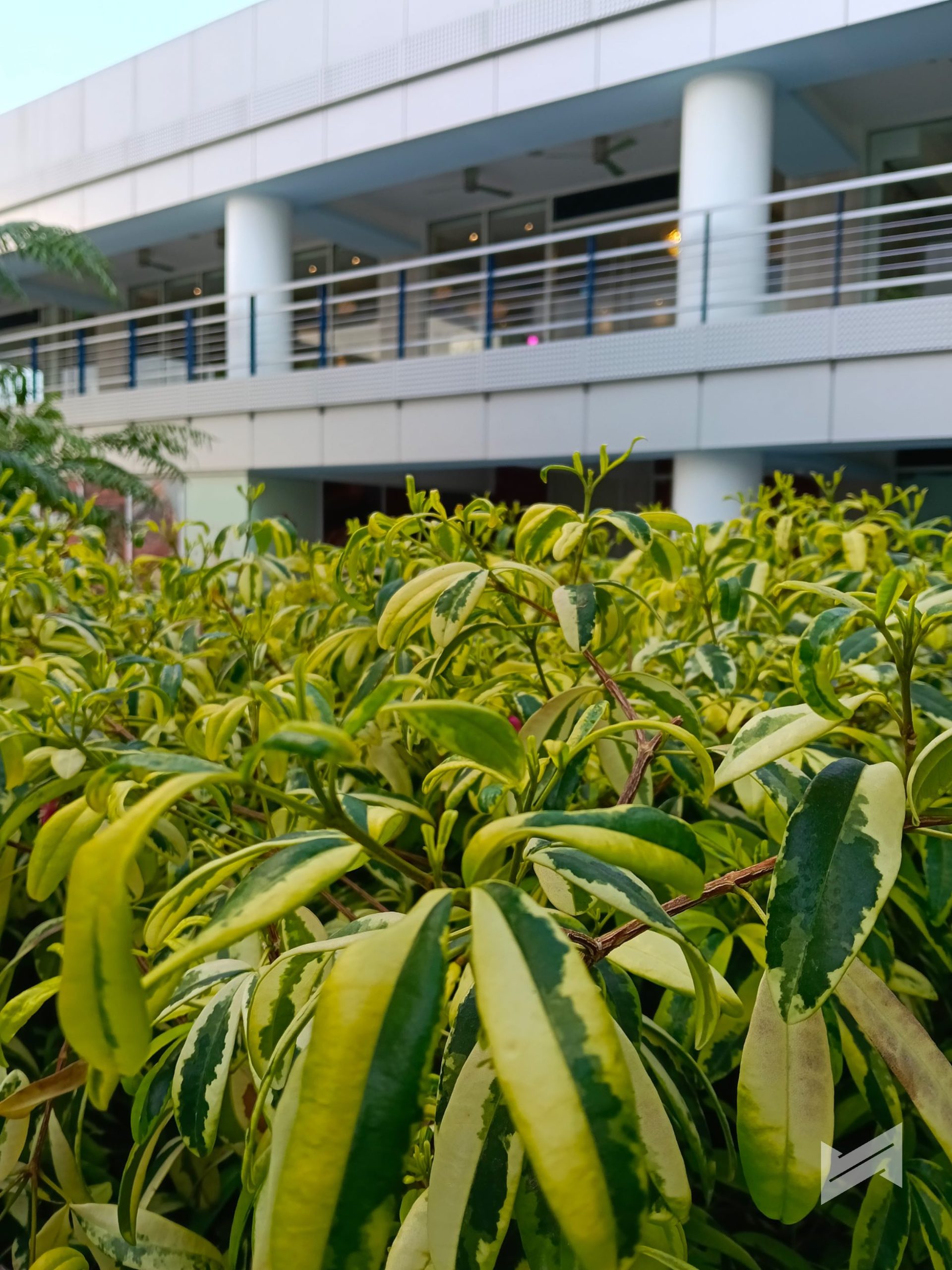 OPPO A6s 5G Sample PHotos 9