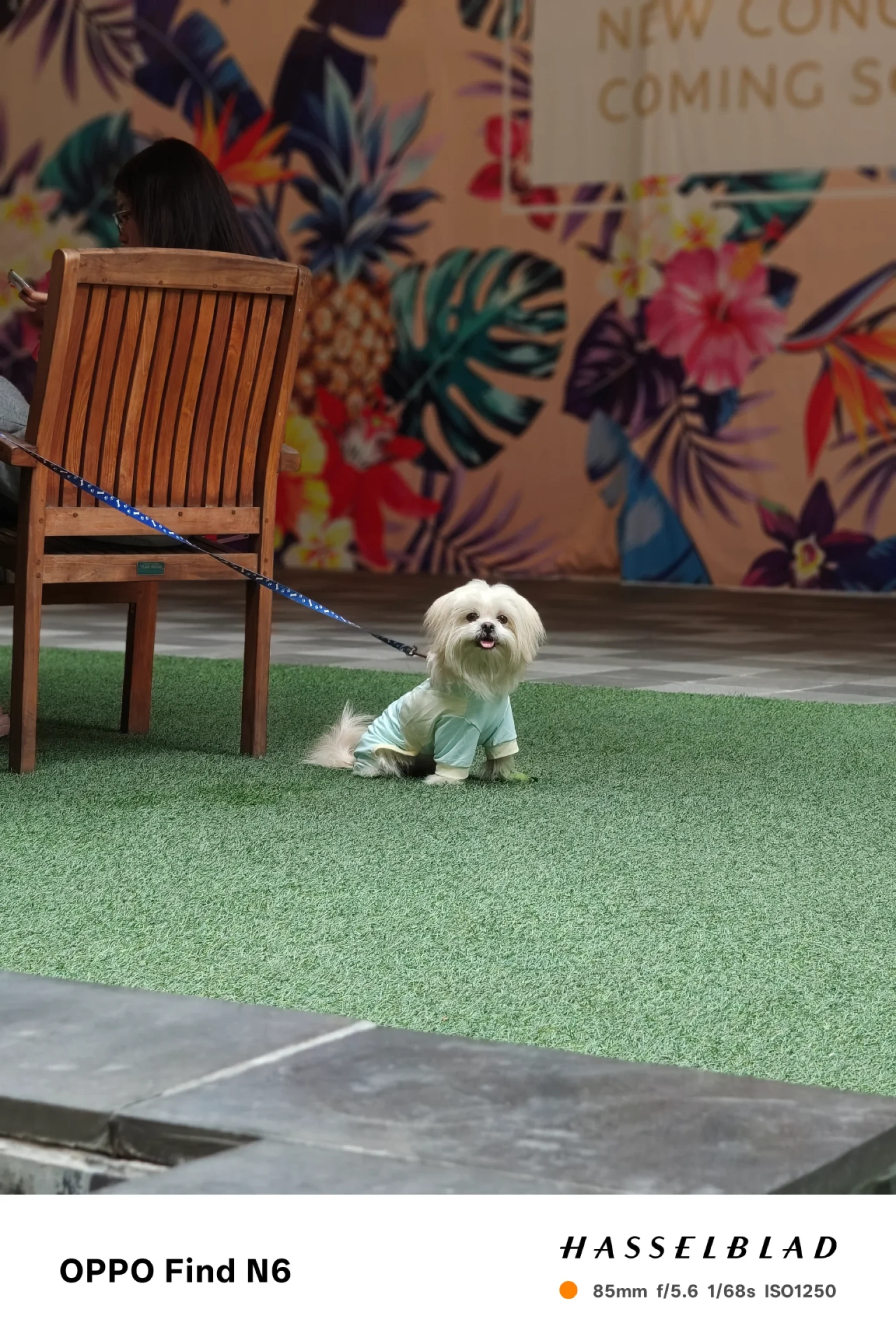 OPPO Find N6 Zoom Sample