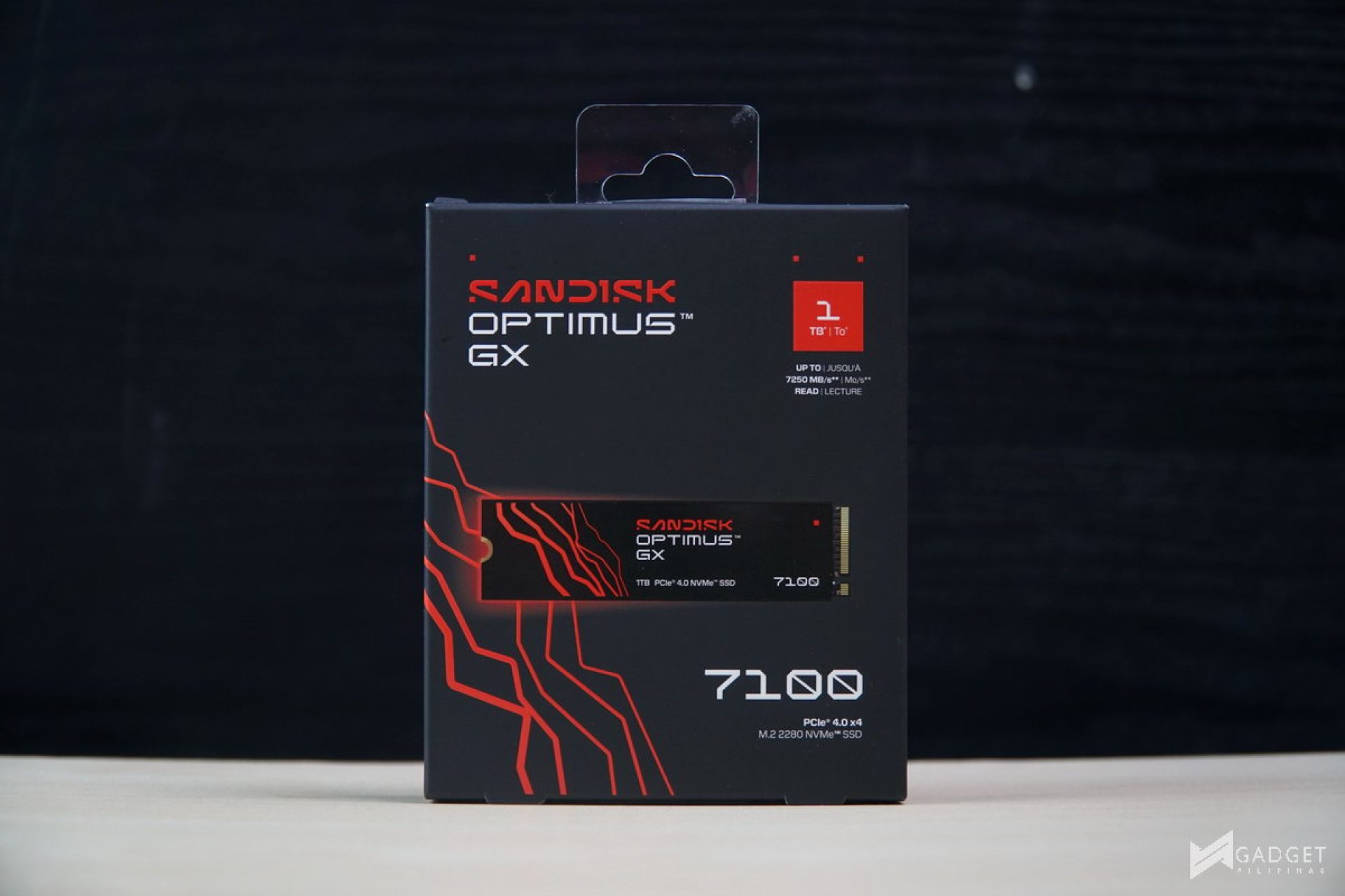 Sandisk Optimus GX 7100 1TB SSD Review 01