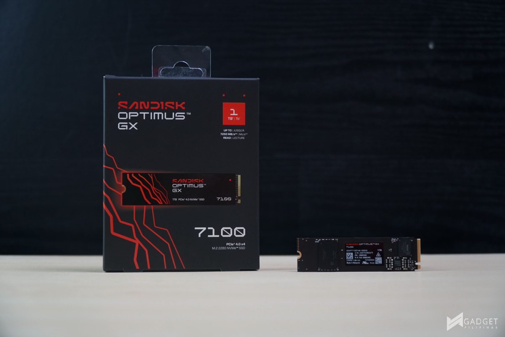 Sandisk Optimus GX 7100 1TB SSD Review Philippines