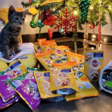 Quick Bytes: Pedigree is offering deals and treats this November for pets via Shopee!