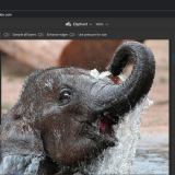 Adobe Photoshop Browser-Based Version is Now Free