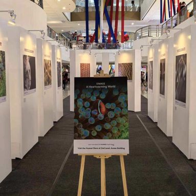 HUAWEI Hosts XMAGE Exhibit with Photos Shot by the Pura 70 Series