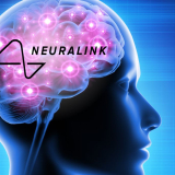 Neuralink Received The Go Signal For Human Study
