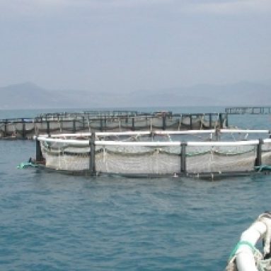 Aquapod Net Pen, A New Breed of Culture Container in Mariculture