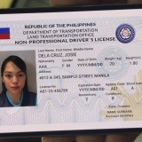 Here’s a First Look at the LTO Digital Driver’s License