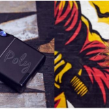 The Chord Poly Turns Your Mobile Device into a Hi-Fi Music Player