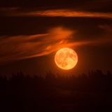 Here are Smartphone Photography Tips from Samsung to Capture the Blood Moon on May 26